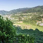 Quinta Da Mata