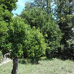 Quinta Da Mata *