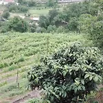 Quinta Da Mata * Ponte da Barca