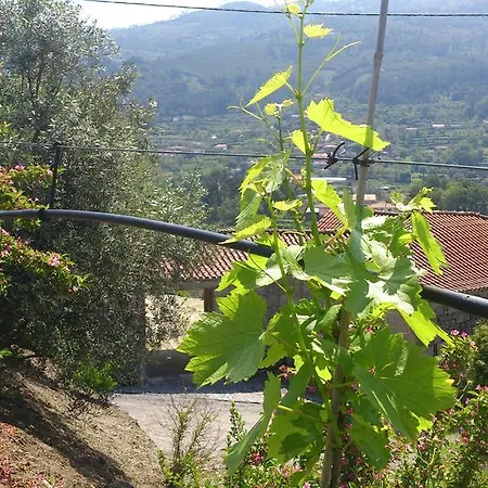 펜션 Quinta Da Mata
