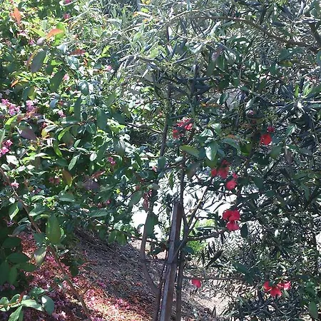 펜션 Quinta Da Mata