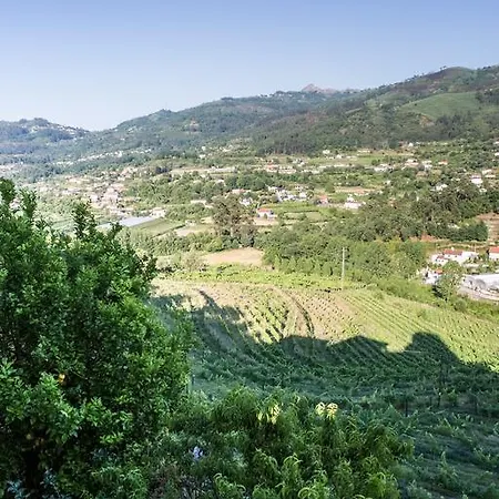 Quinta Da Mata