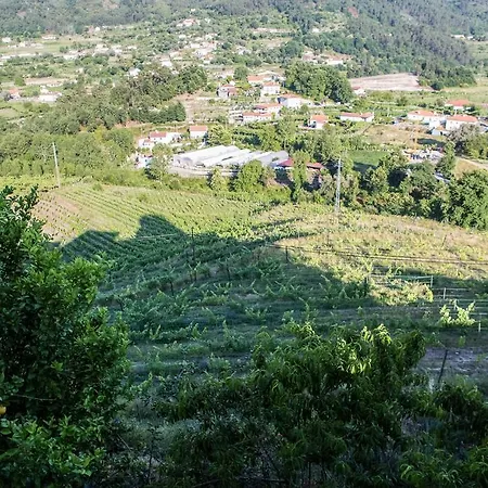 펜션 Quinta Da Mata 폰테다바카