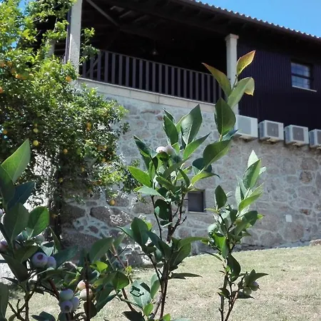 Quinta Da Mata Dom wakacyjny *