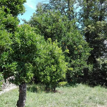 Quinta Da Mata *