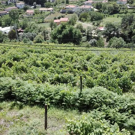 Quinta Da Mata Tatil Evi *