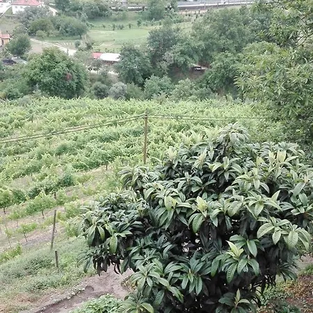 Quinta Da Mata * Ponte da Barca