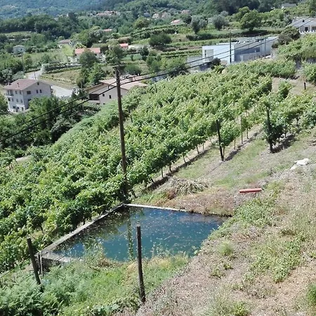 Quinta Da Mata *