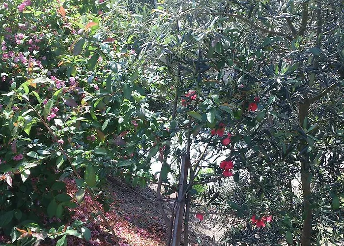 펜션 Quinta Da Mata