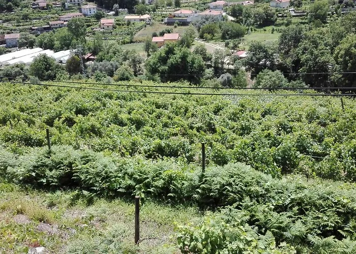 Quinta Da Mata Σπίτι διακοπών *