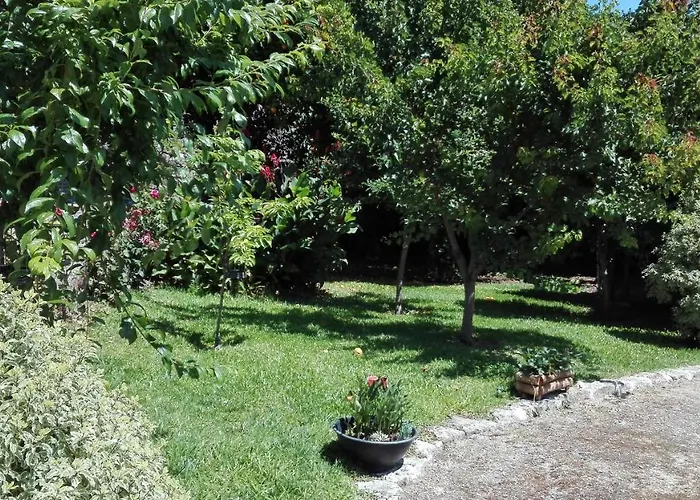 Quinta Da Mata * 폰테다바카