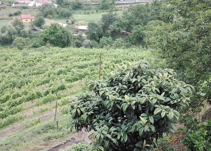 Quinta Da Mata * 폰테다바카