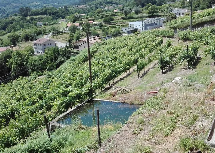 Quinta Da Mata *